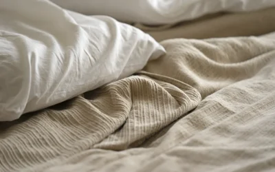 ¿Cuál es la temporada de las chinches?