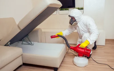 ¿Debería preocuparme si un familiar o amigo tiene chinches?